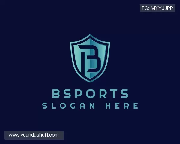介绍bsports